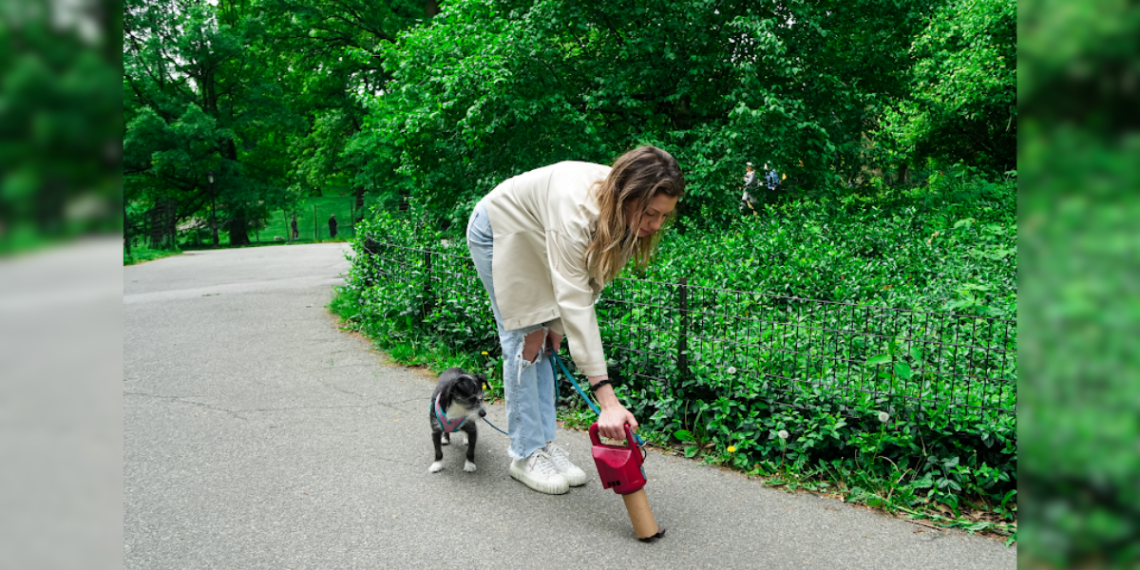 How Bad is Dog Poop for You and the Environment?