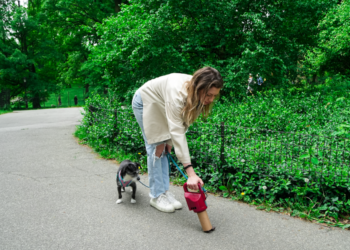 How Bad is Dog Poop for You and the Environment?