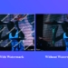 The Top 4 Ways to Remove Watermark Video