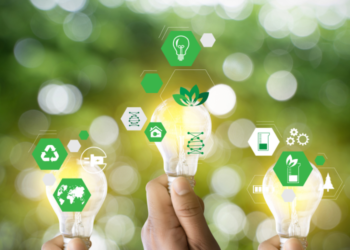 How Tea Brands Are Embracing Sustainability and Ethical Sourcing