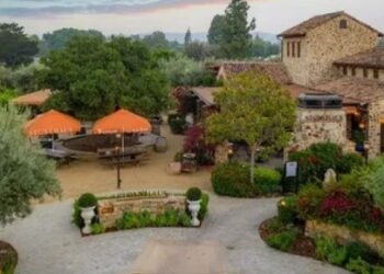 What Happens if You Disagree on Child Support in Westlake Village?