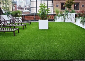 Water-saving, new-gen turf solutions now available in New Zealand through Prestige Turf