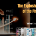 The Explosive Growth of the Phone Case Market:What’s Driving It?