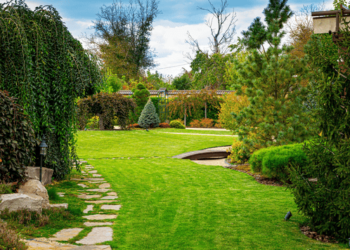 Seamster Tree and Stumpdoctor Offers Expert Tree and Stump Removal Services in Kernersville, NC