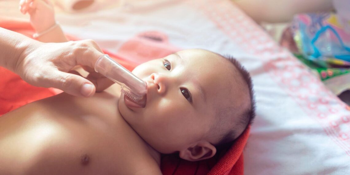 Do Baby Teeth Have Roots? An Expert Guide