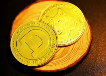 Meme Coins Capture 31% of the Crypto Market Spotlight in 2024