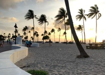 Top 5 Locksmith services in Palm Beach County FL
