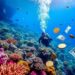How to Make Money from Scuba Diving