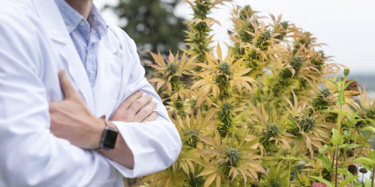 Product Quality at Doctor Ansay: Customers Provide Valuable Feedback