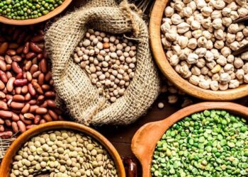 TACKLING GLOBAL FOOD INSECURITY THROUGH SUSTAINABLE FUNCTIONAL FOODS