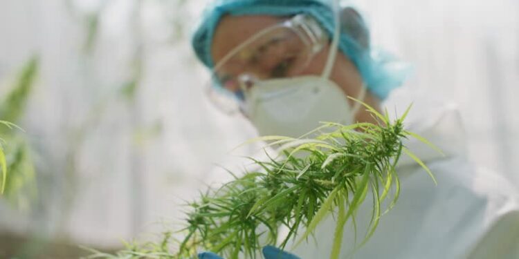 Doctor Ansay: Feedback Drives Focus on Service Enhancements