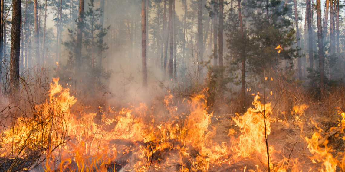 Wildfire Smoke 10x More Dangerous Than Typical PM2.5, Study Shows