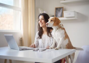 ARC VETS Offers Advice on Dog Health Warning Signs Every Pet Owner Should Know