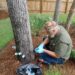 Tree Doctor Houston Saves Estates Thousands by Treating Trees Instead of Removing Them